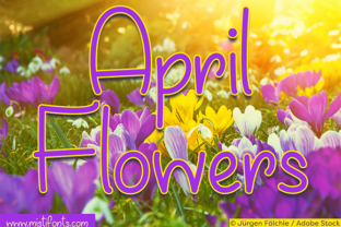 April Flowers: The Perfect Handwritten Font for Crafters and Sellers