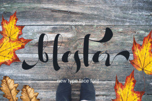 Blester: A Script Handwritten Font for Modern Branding