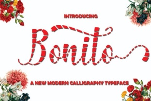 Bonito: The Playful Script Font for Creative Makers