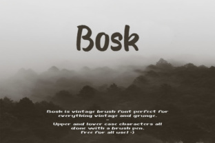 Bosk Brush Font for Custom Web Design and Brand Identity