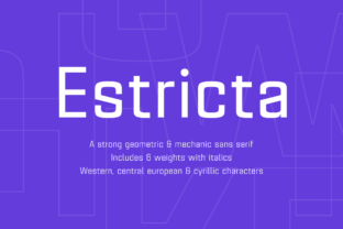 Estricta Family: A Geometric Sans Serif for Bold Campaigns