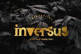 Inversus: The Slab Serif Typeface for Bold Campaign Statements