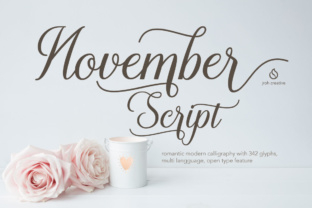 November: The Modern Script Font for Campaign Visuals