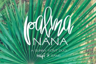 Palma Nana Typeface Review for Creative Branding