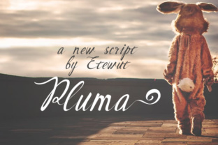 Pluma: A Handwritten Script Font for Editorial Design