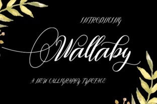 Wallaby: A Modern Script Handwritten Font for Designers