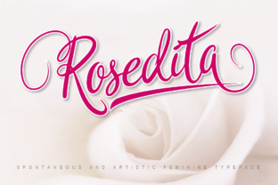Why Rosedita Transforms Small Business Branding